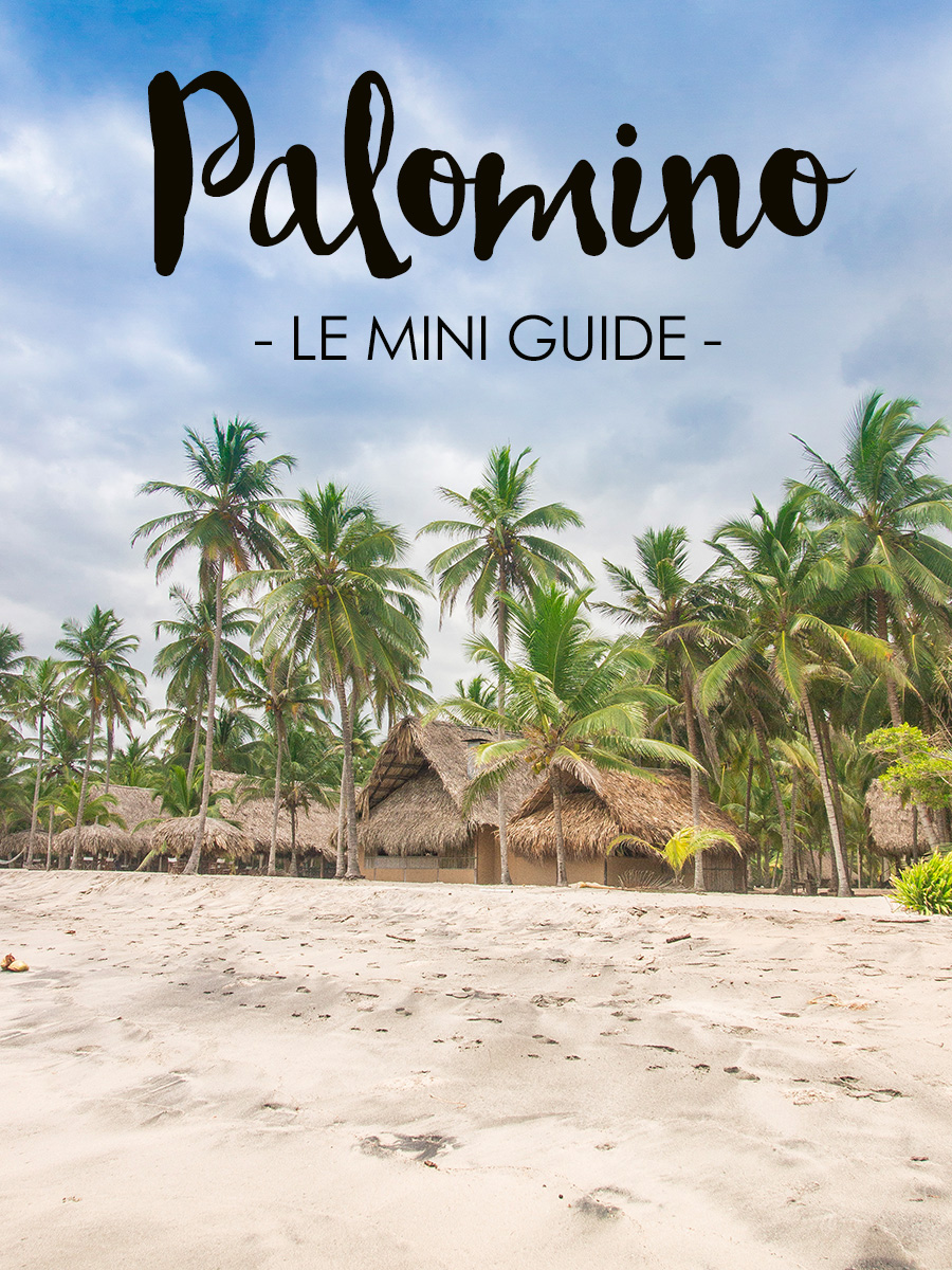 Palomino, le mini guide | Le Cocotier Doré