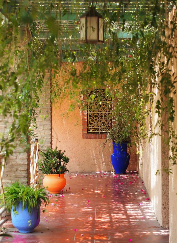 Un week-end a Marrakech entre copines - Jardins Majorelle