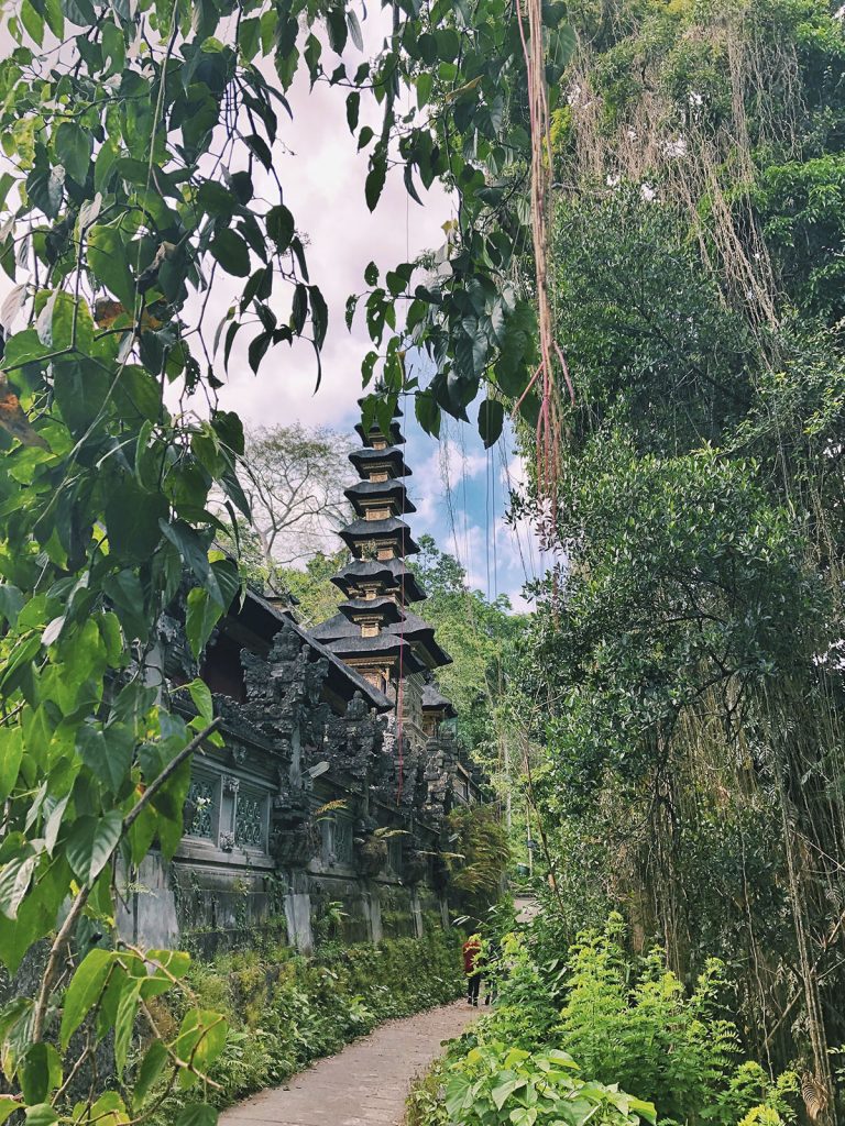 Bonnes adresses à Ubud, Bali: Campuhan Ridge Walk